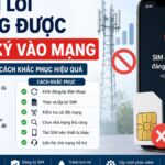 SIM Bị Lỗi Không Được Đăng Ký Vào Mạng – Nguyên Nhân & Cách Khắc Phục Hiệu Quả
